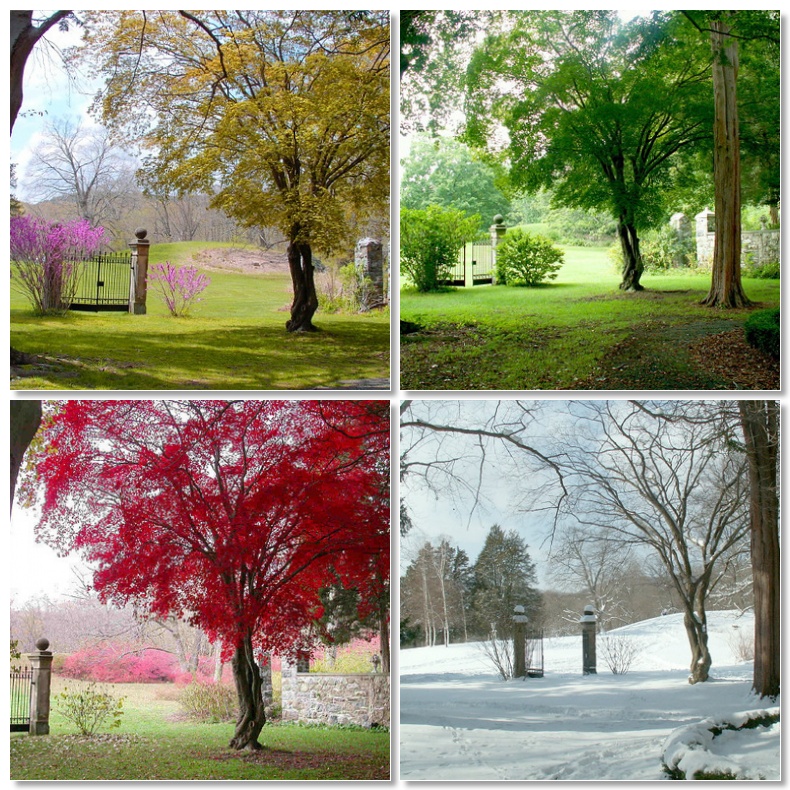 seasons