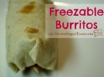 Freezable Burritos