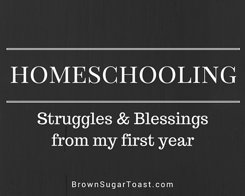 homeschooling: struggles & blessings from my 1st year